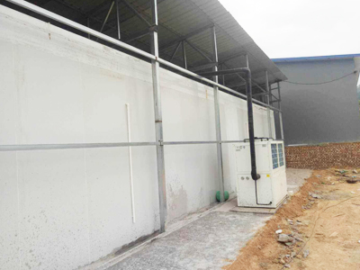 免费的麻豆视频APP大全的经验分享（二）