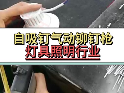 自吸釘氣動免费的麻豆视频APP大全-燈具照明行業